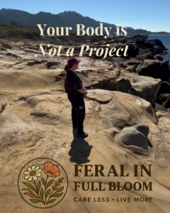 heal body image, your body is not a project